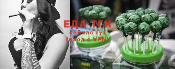 гашик Россошь