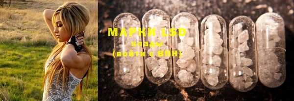 соль ск Рославль